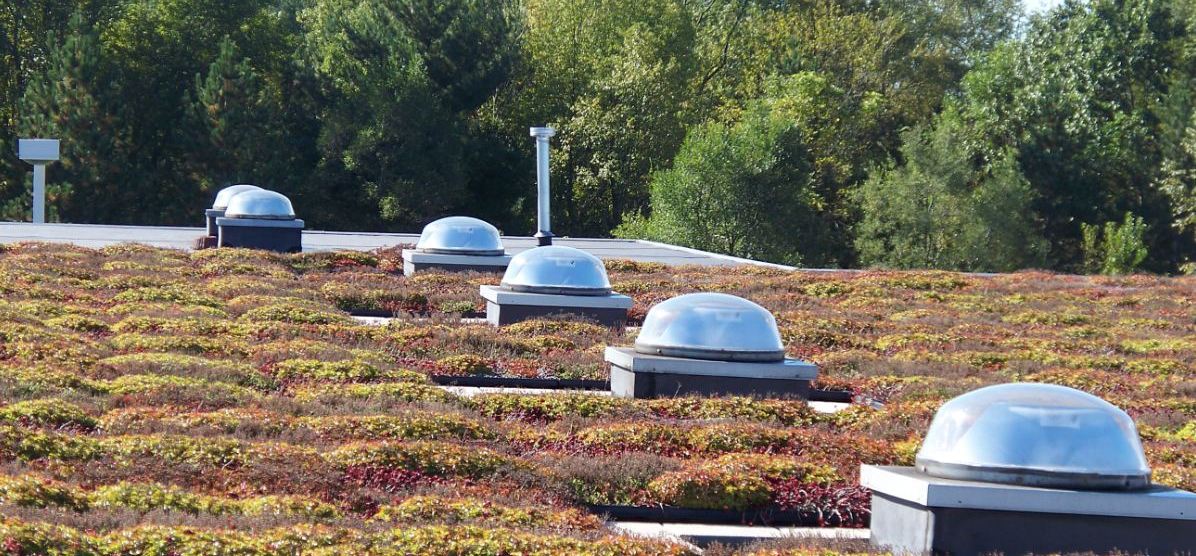 Vegetated Green Roofs with installed daylighting system roof domes