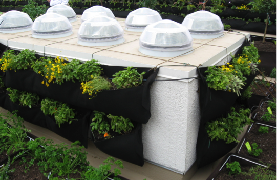 Roof domes installed on top of blocks of the vegetable garden