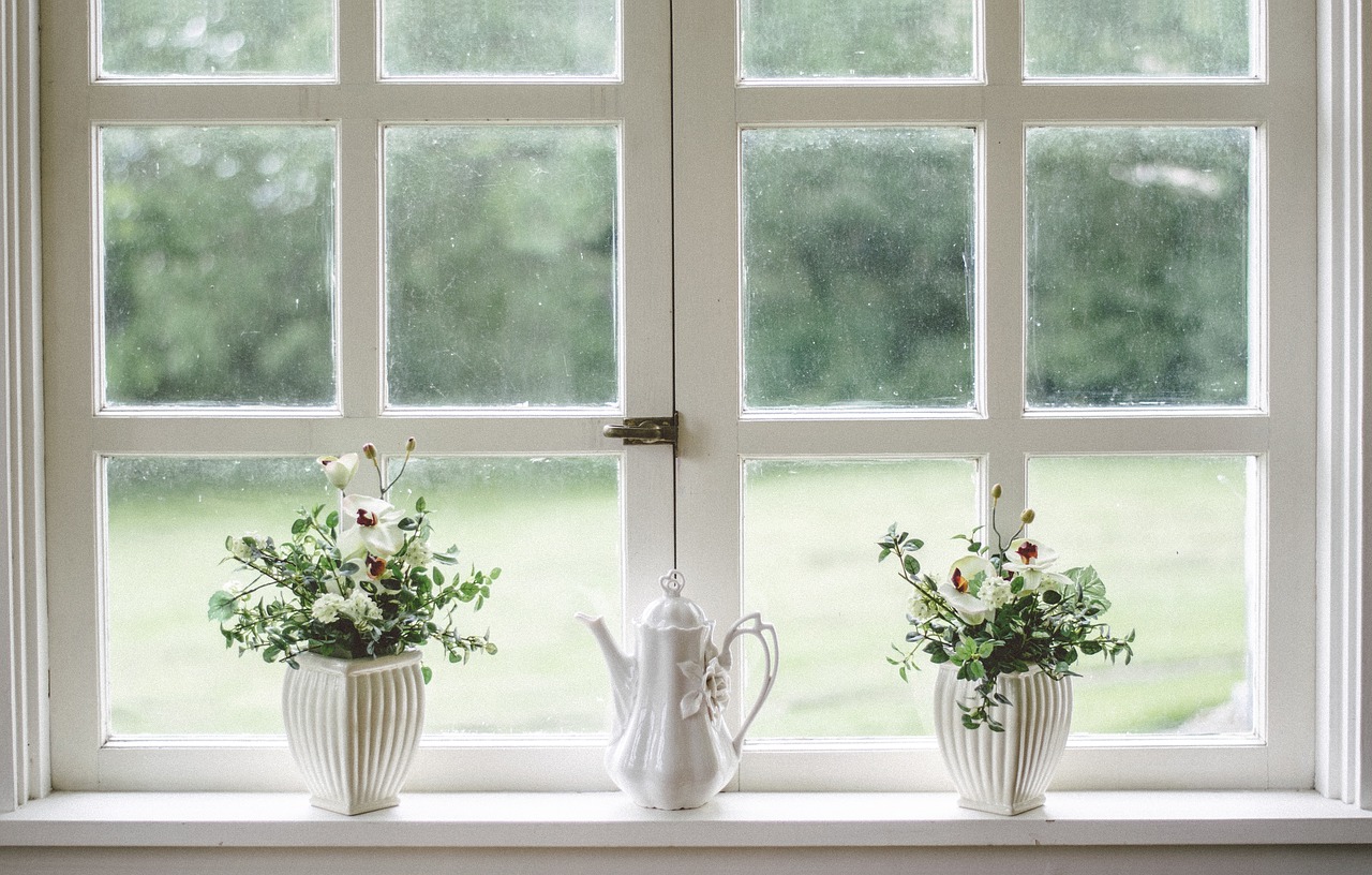 Looking out of a white window with plants on the window sill