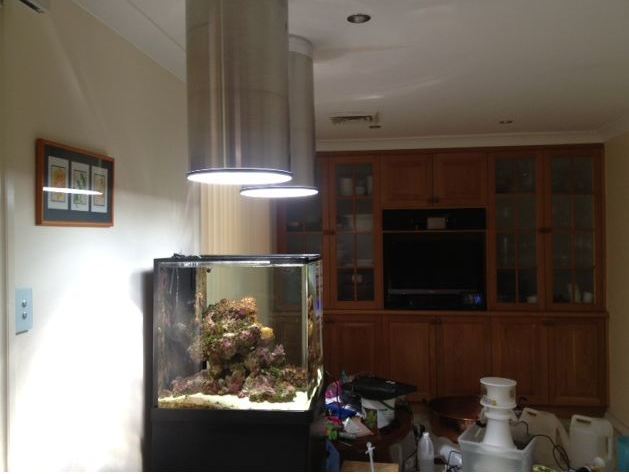 Fish tank brightened by solatube daylighting system