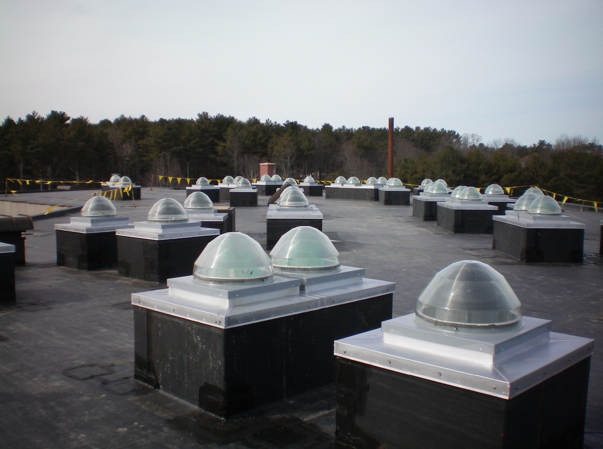 Grouped curbs with installed roof domes