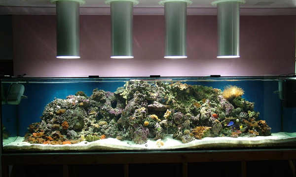 Living room fish tank example